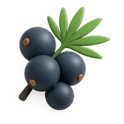 Ícono de Saw Palmetto (Serenoa repens)