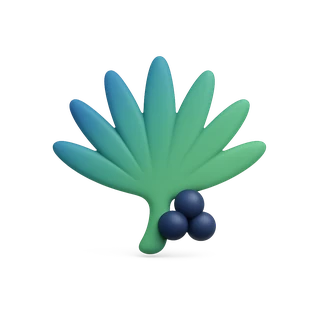 Icono de Saw Palmetto